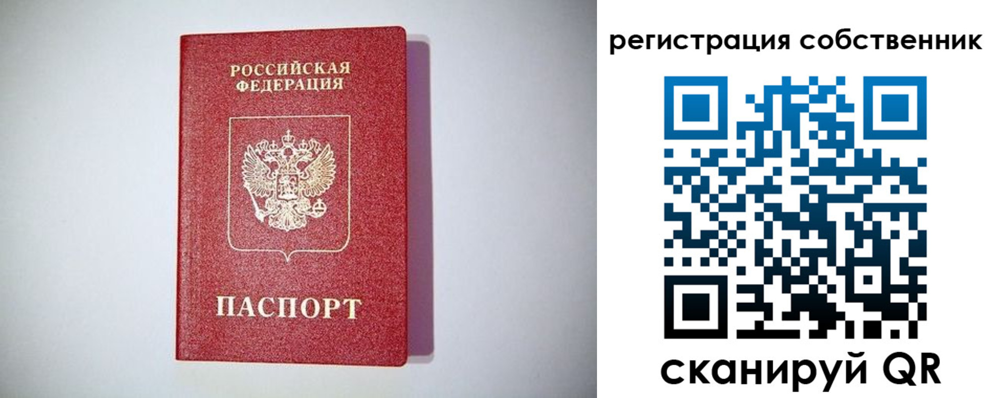 временная регистрация для школы в Курчатове